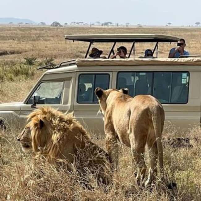 2-Day Tarangire & Ngorongoro Crater Safari from Zanzibar - What Travelers Say
