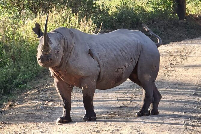 2 Day Tour Hells Gate, Lake Naivasha & Lake Nakuru from Nairobi - What Makes This Tour Stand Out?