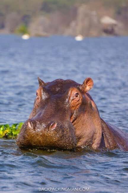 2 Day Tour Lake Nakuru, Hell' s Gate & Lake Naivasha - Day 2: Adventure at Hells Gate and Lake Naivasha