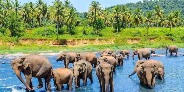 2 Day Tour Pinnawala/Sigiriya From Kandy - Authentic Experiences and Guide Expertise