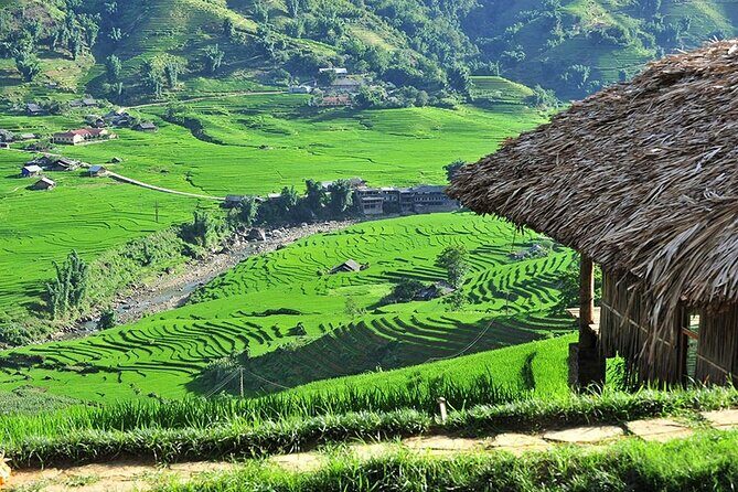 2-Day Trekking Adventure of Sapa from Hanoi with Night Bus - Village Life and Lunch in Ta Van