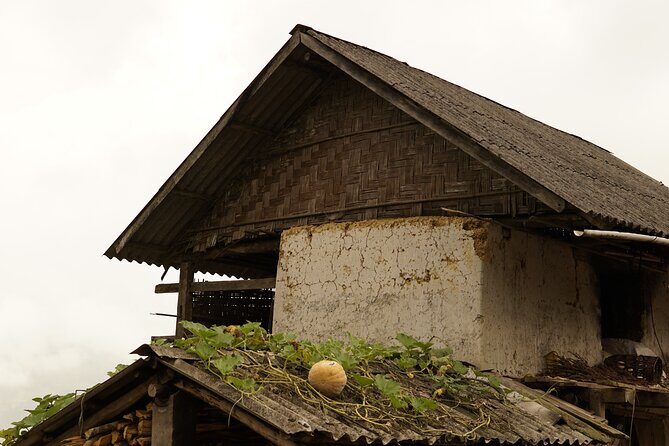 2-Day Trekking in Sa Pa from Ha Noi by sleeping bus - Who Should Consider This Tour?