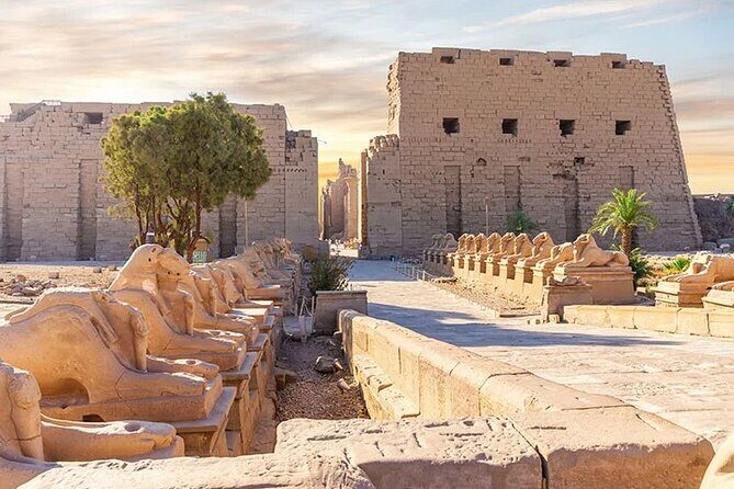 2 Day Trip To Luxor From Marsa Alam including hot air balloon - The Sum Up