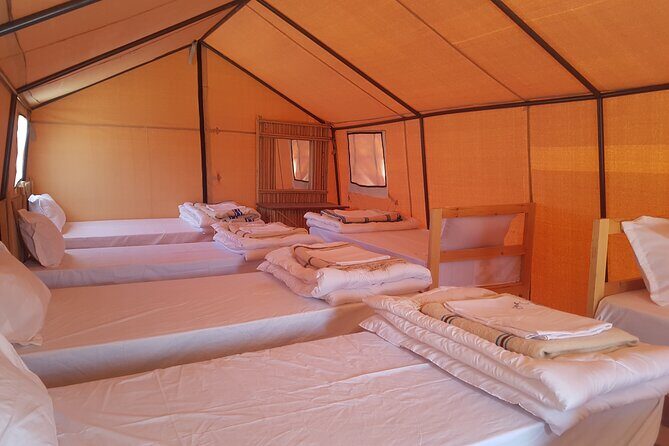 2-Day Tunisia Sahara Desert Camel Trek from Douz - A Closer Look at the 2-Day Sahara Camel Trek
