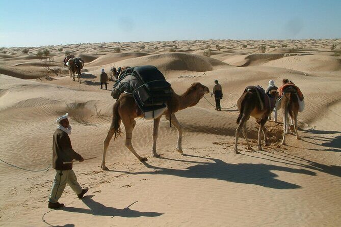 2-Day Tunisian Sahara Tour with Food & Stay from Hammamet - Transportation and Group Dynamics