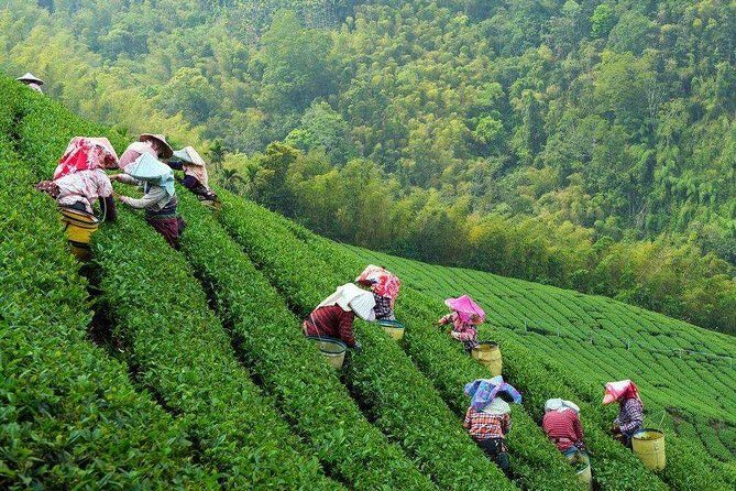 2-Day Unlimited Private Trip to Suzhou and Hangzhou by Bullet Train from Shanghai - The Itinerary in Detail