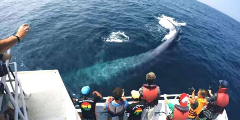 2-Day Whale Watching & Southern Sri Lanka Tour - A Detailed Look at the 2-Day Itinerary