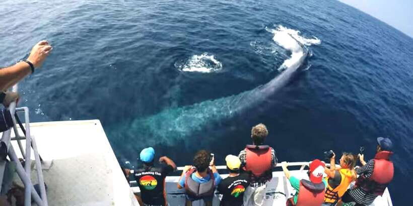 2-Day Whale Watching & Southern Sri Lanka Tour - A Detailed Look at the 2-Day Itinerary
