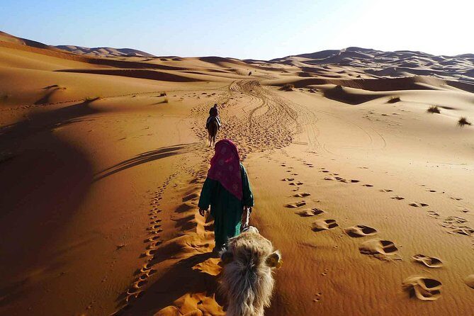 2 Day Zagora Tour from Marrakech Including the Atlas Mountains, Camel Trek and Desert Camp - The Sum Up