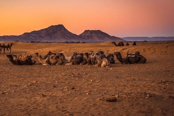 2 Days 1 Night Amazing Zagora Desert Tour From Marrakech - Accommodation and Meals