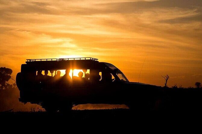 (2 Days, 1 Night) Day & Night Game Drive Tsavo East National Park - Analyzing the Value