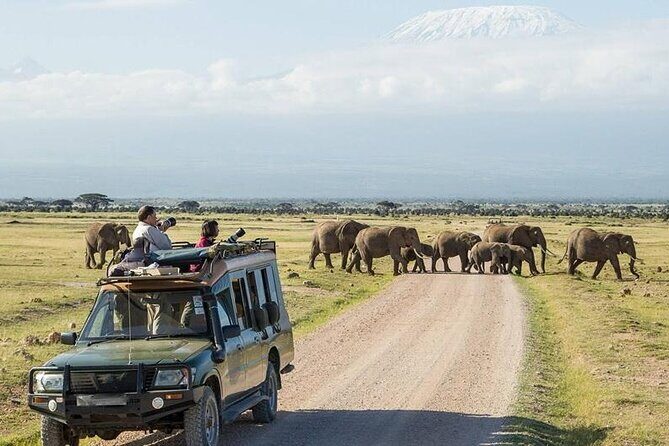 2 Days 1 Night Private Tour to Amboseli National park 4*4 Vehicle - The Day-by-Day Itinerary