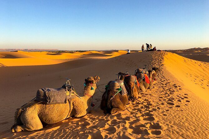 2 Days/1 Night Sahara Desert Trip: Fes - Merzouga - Fes - What Travelers Say