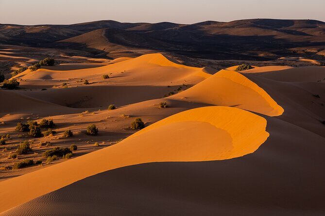 2 Days/1 Night Sahara Desert Trip: Fes - Merzouga - Marrakech - Final Thoughts