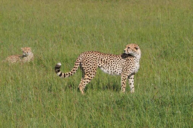 2 days 1 night Tsavo East safari from Diani/Mombasa - Final Thoughts