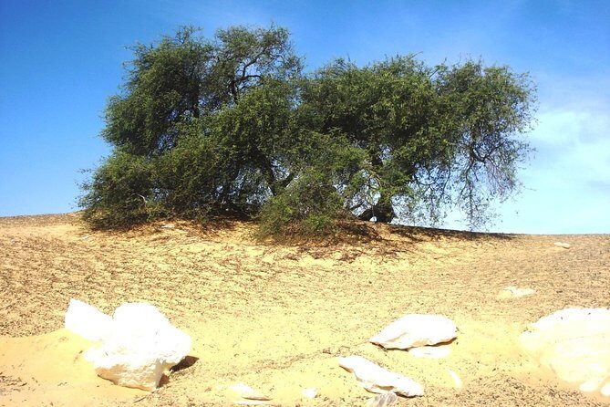 2 Days 1 Night White Desert From Cairo ( private ) - The Sum Up