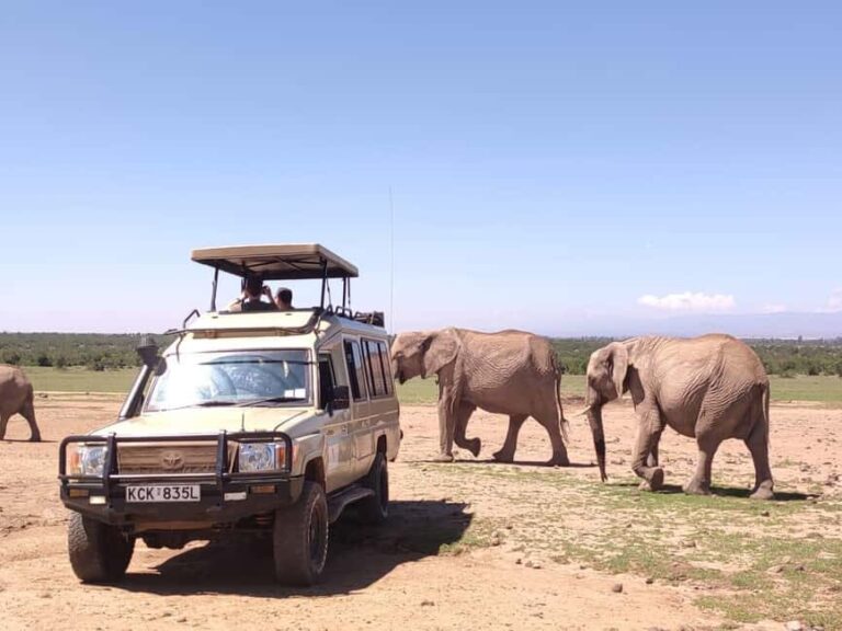 2 Days Amboseli Safari - Why Choose This Tour? The Highlights