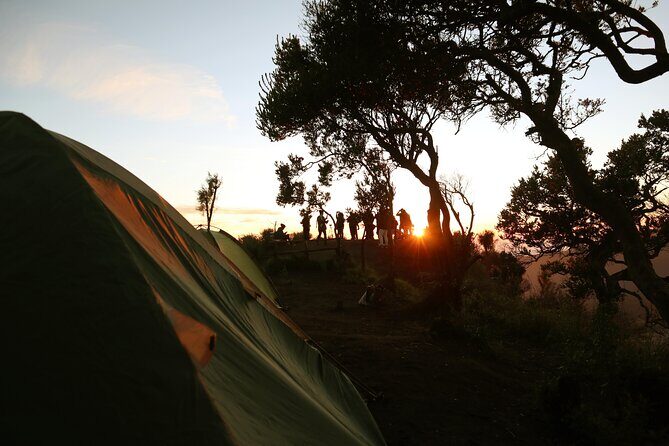2 Days - Bromo Camping // 14.00 - 13.00 - Authentic Experiences and Traveler Insights