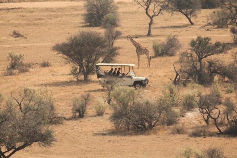 2 Days Cheap mikumi NP safari & waterfall from Dar es salaam - Why Choose This Tour?