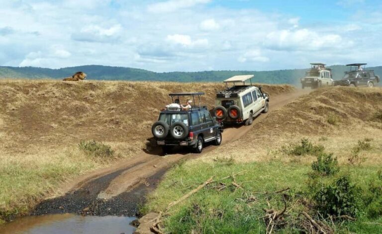 2 Days Cheap mikumi NP safari & waterfall from Dar es salaam - Mikumi National Park: Wildlife on Show