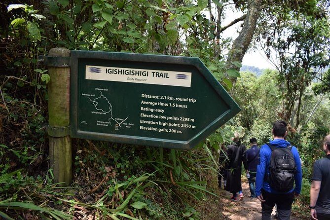 2 Days Chimpanzees trekking Tour and Canopy walk Adventure - What’s Included and What to Expect