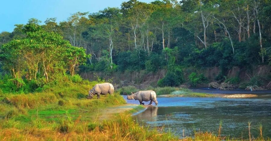 2 Days Chitwan Jungle Safari Tour from Pokhara/Kathmandu - Who is This Tour Best Suited For?