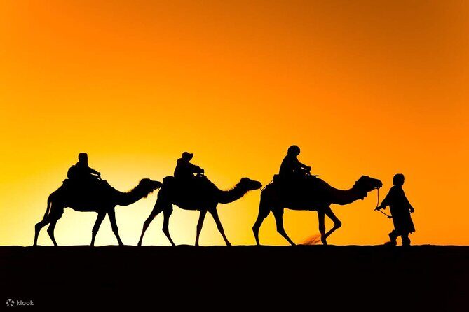 2 Days Circuit From Marrakech To Zagora Desert - Who Is This Tour Best For?