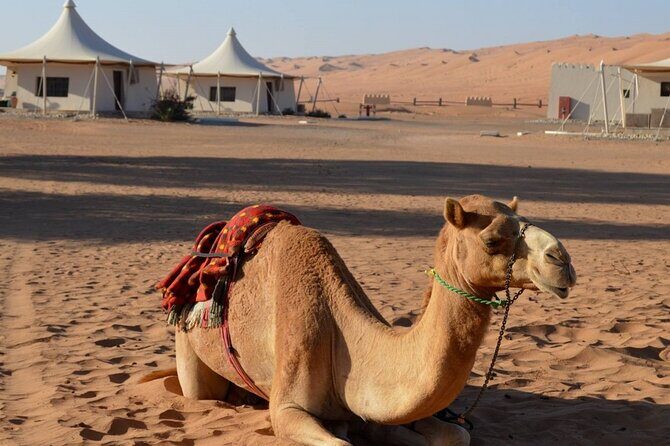2 Days Desert Adventure Package - What makes this tour stand out?