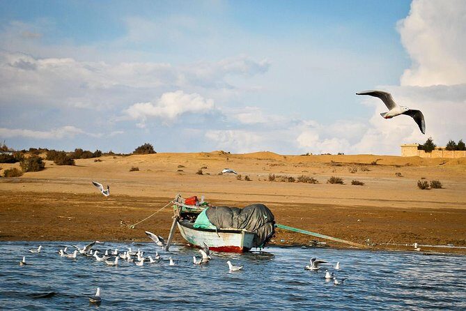 2 Days Desert Safari Trip to Fayoum Oasis from Cairo - A Detailed Breakdown of the Itinerary