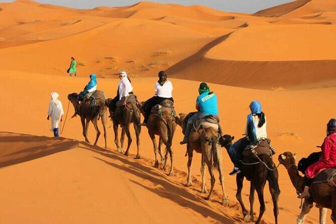 2 Days Desert Trip Back To Fes/ Or Marrakech - Azrou Cedar Forest: Encountering Monkeys and Nature