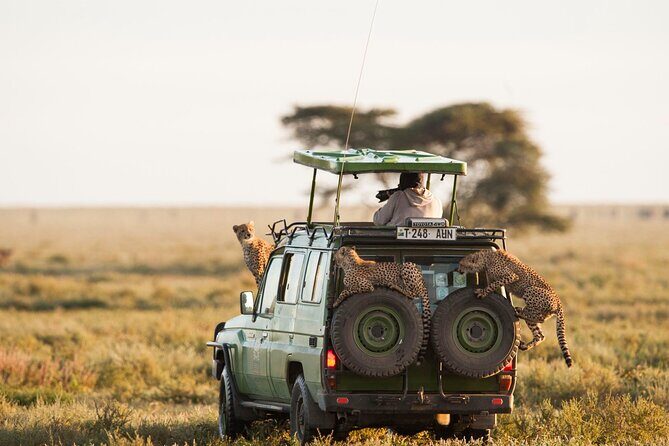 2 Days Enjoy Serengeti National Park with Balloon Safari - What’s Included and What to Expect