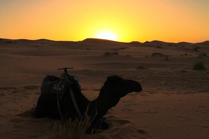 2 days Fes to Merzouga back to Fes - Authentic Experiences and Honest Feedback from Travelers