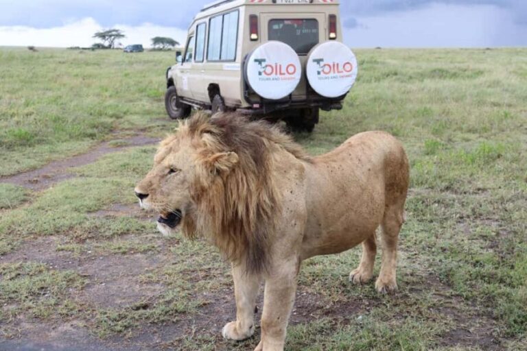 2 Days Group Tour Tarangire and Ngorongoro Crater - The Itinerary in Detail