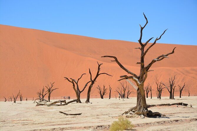 2 Days Guided Tour in Sossusvlei and Sandwich Harbor - Who Should Consider This Tour?