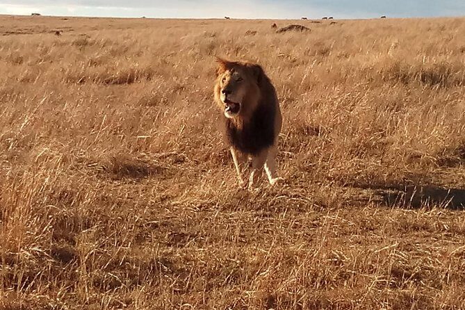 2 Days Lake Nakuru N/P - The Experience From the Traveller’s Perspective