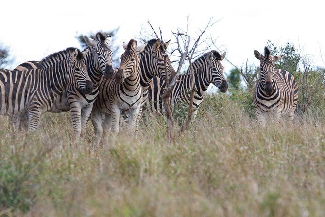 2 Days Lake Nakuru Safari - Final Thoughts: Is It Worth It?