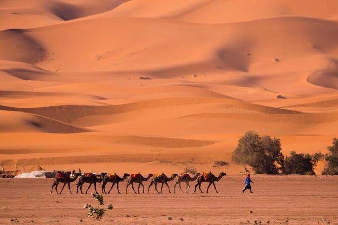 2 Days luxury desert tour from Fes - Final Thoughts: Who is This Tour For?