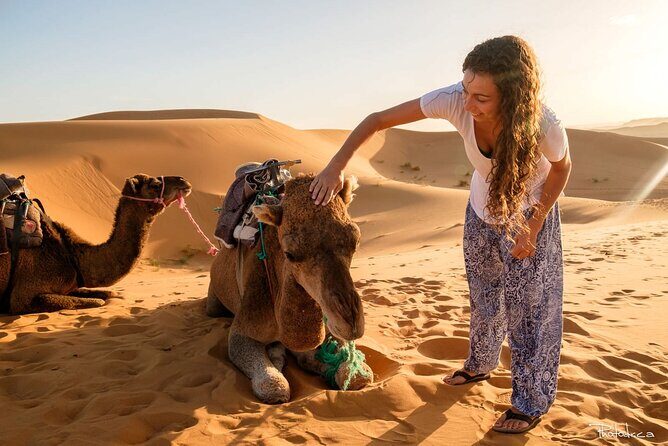 2 days luxury desert trip [fes to fes or marakech] - Price and Value