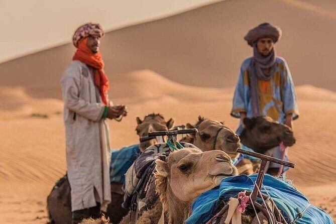2 Days Luxury Tour to Merzouga Desert from Fez with Small Group - Detailed Breakdown of the Itinerary