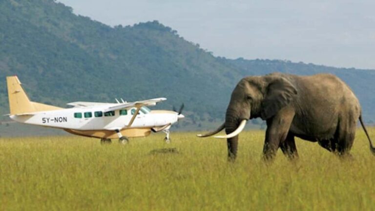 2 Days Maasai Mara Flying Safari Package - What’s Included and What’s Not