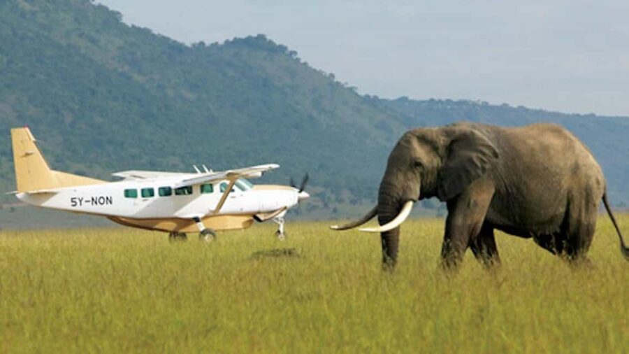 2 Days Maasai Mara Flying Safari Package - What’s Included and What’s Not