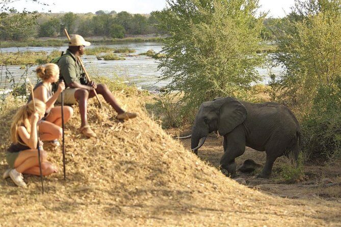 2 Days Morogoro- Selous Game Reserve(Nyerere national park) - Final Thoughts: Is It Worth It?