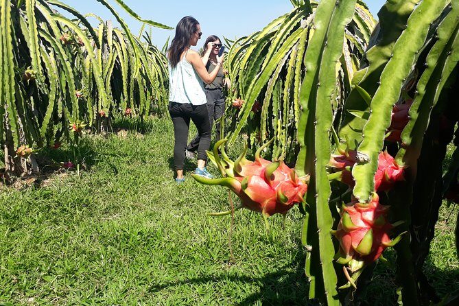 2 Days Motorbike Tour From Mui Ne To Da Lat Or Vice Versa - Why This Tour Could Be Perfect for You