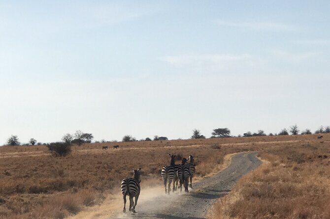 2 Days One Night Private Tour in Tarangire National Park - What You Can Expect from the Experience