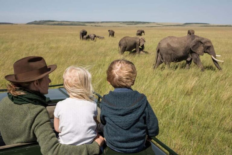 2 Days Private Midrange Safari from Dar Es Salaam - Value and Practical Considerations