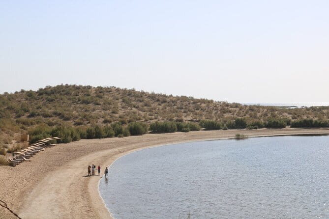 2 Days Private Safari Tour from Bukhara - The Itinerary: What You’ll Experience Day by Day