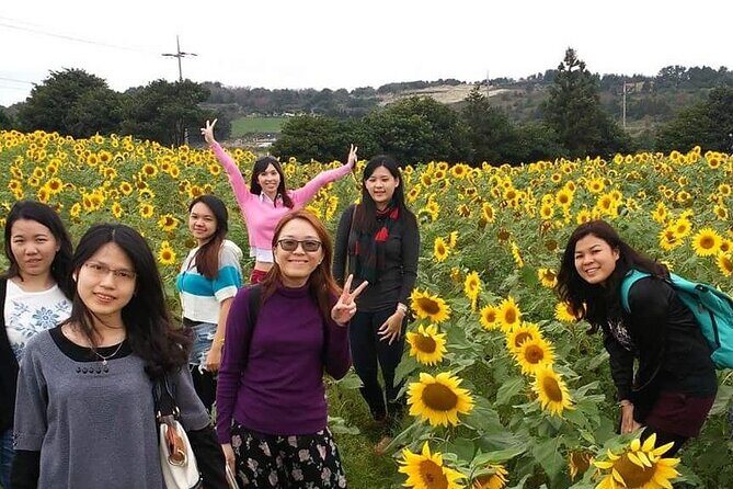 2 Days Private Taxi Tour - West and South of Jeju Island - Practical Tips for Your Trip