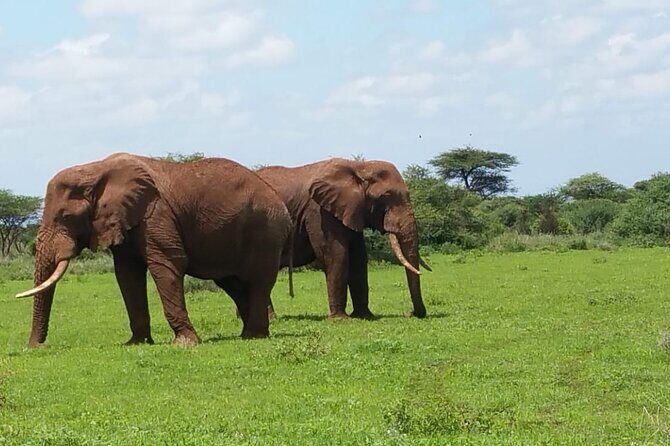 2 Days Salt Lick Safari Tour - Day 1: Exploring Taita Hills and Salt Lick Lodge