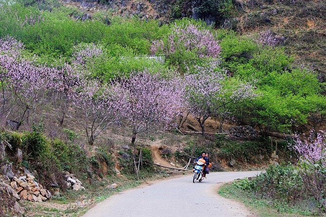 2 Days Sapa Trekking In Cat Cat And Ta Van Village From Hanoi - What Makes This Tour Worth Considering?