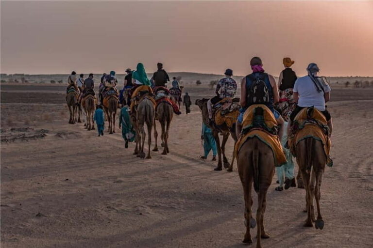 2 Days Sharing Group Non Touristic Camel & Desert Safari - Authenticity and Value